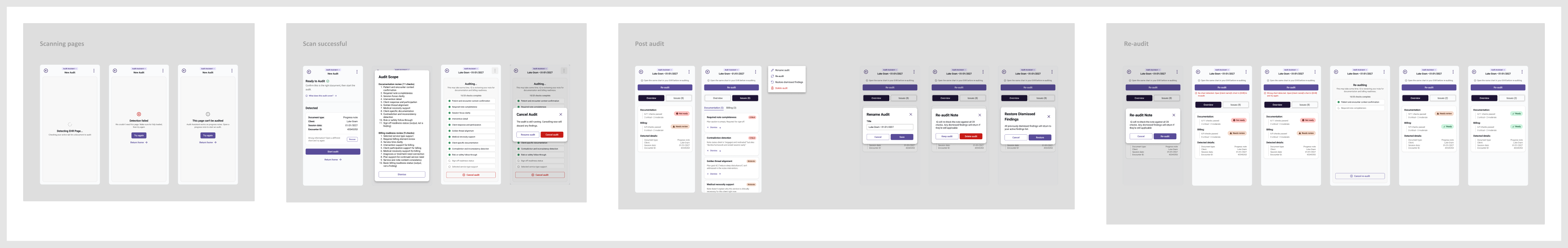 iQ chart auditing interface showing an AI-assisted compliance review of clinical documentation